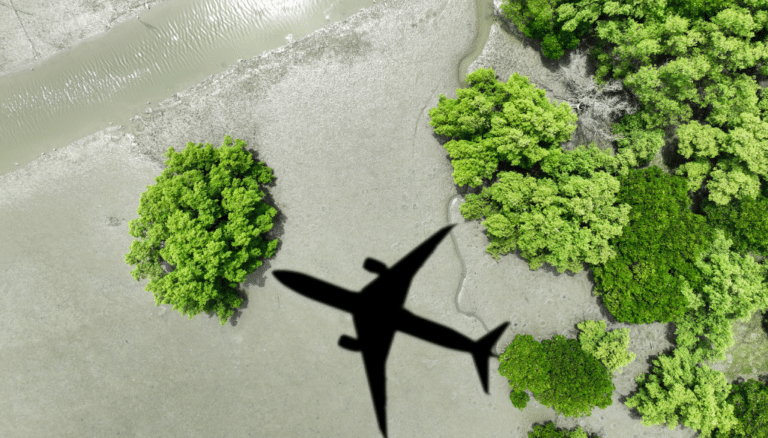 Aviation Consultant Aviation Consultant
