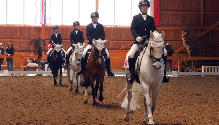 Equestrian Facility