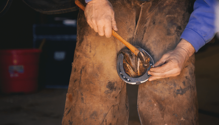 Farrier Service