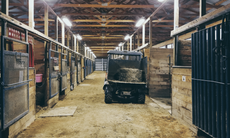 Horse Boarding Stable Horse Boarding Stable