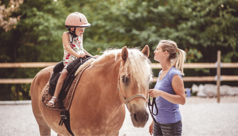 Horse Riding School