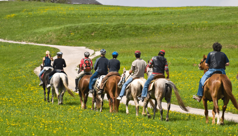 Horseback Riding Service