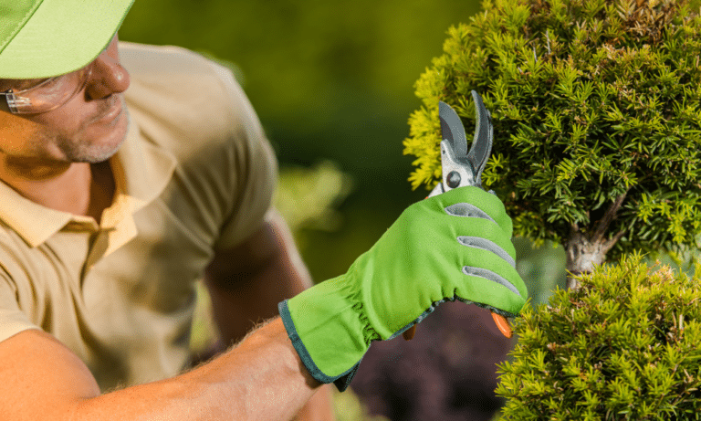 Landscaper Landscaper