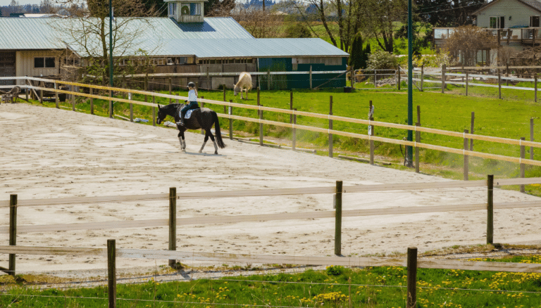 Outdoor Equestrian Facility Outdoor Equestrian Facility