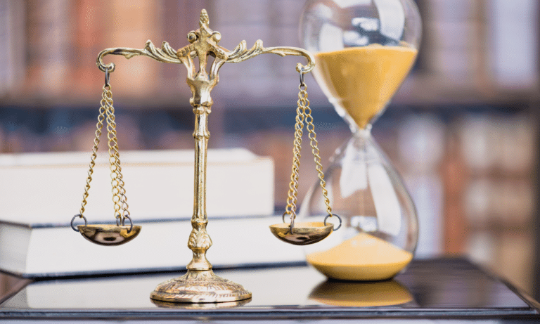 Paralegal Services Provider