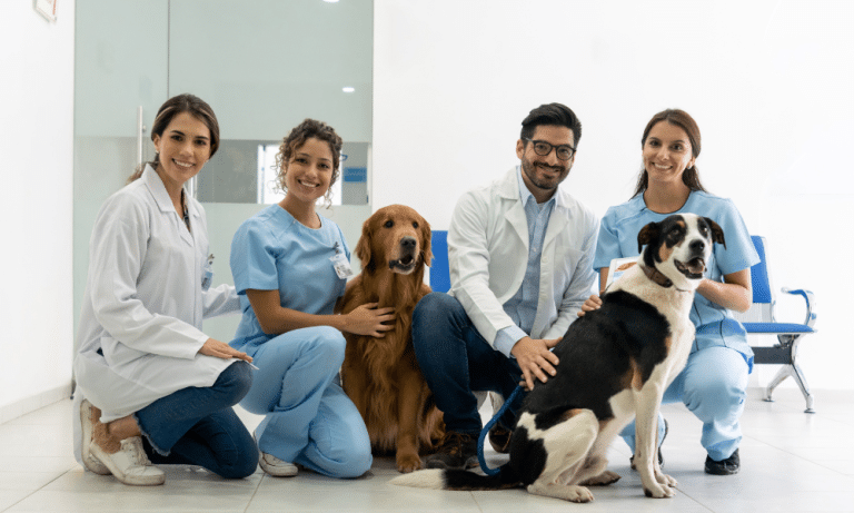 Veterinarians Veterinarians