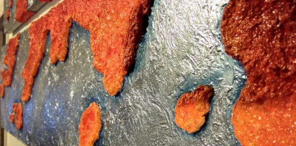 A Splash of Orange - Image 2